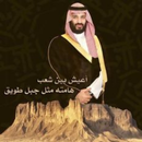 خلفيات محمد بن سلمانking MBS APK