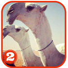 خلفيات الصحراء desert HD 4G Zeichen