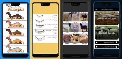 تربيه الاغنام والماعز وتسمين الملصق