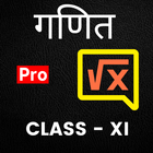 Maths Class 11 in Hindi Zeichen