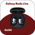 Galaxy Buds Live Guide