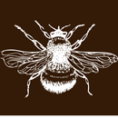 Salva a las Abejas APK