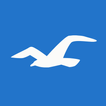 Hollister Co. 图标