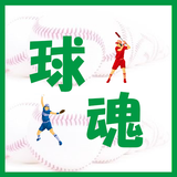 「球魂」　野球・ソフトボールのチーム・対戦相手検索 иконка