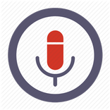 Voice Search