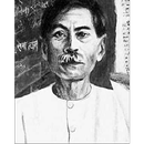 Munshi Premchand : Novels and  APK