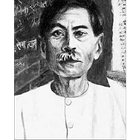 Munshi Premchand : Novels and  icône