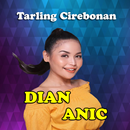 Dian Anic Mp3 Lagu Tarling Terbaru 2021 Offline APK