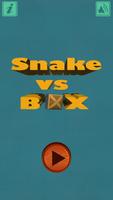 Snake vs Box Affiche
