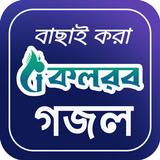 কলরব বাছাই করা গজল أيقونة