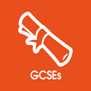 GCSE Business Studies Past Papers - gcse business APK