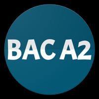 BAC GABON 2019 A2 постер