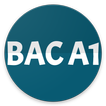 Bac GABON 2020 A1