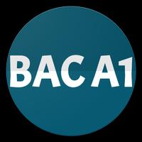 Bac GABON 2019 A1 الملصق