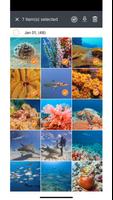 SeaLife Micro 3+ ภาพหน้าจอ 1