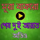 সূরা বাকারার শেষ ২ আয়াত অডিও সহ APK