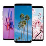 صور خلفيات - aboli Wallpapers