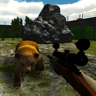 Jungle Bear Shooting Game icône