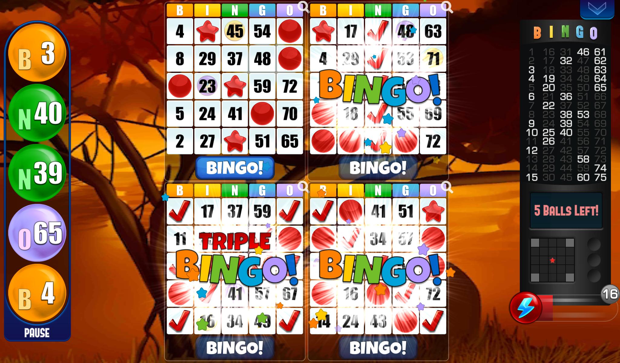 bingo-free-bingo-games-for-android-apk-download