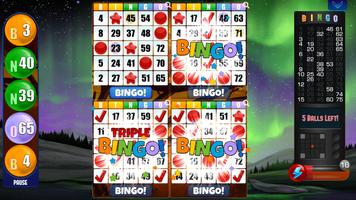 Bingo Mutlak screenshot 1