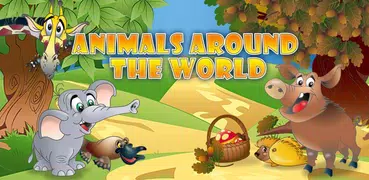 Animals Around the World