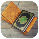 قرآن (جزء پانزده) APK
