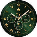 TVV Saint Patrick's Day 6 APK