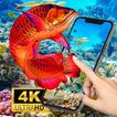 3D Aquarium Wallpaper