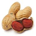 Nut