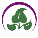 Ref. Guide for Essential Oils APK