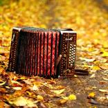 Acccordion Ringtones