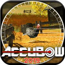 Accubow 2019 APK