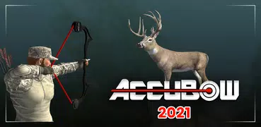 Accubow 2021