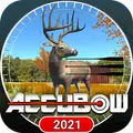 AccuBow 2021