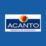 Acanto