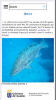 Diccionario Básico Canarismos تصوير الشاشة 1