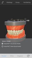 ToothView™ スクリーンショット 2