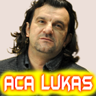 Aca Lukas icône