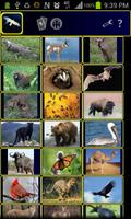 Power Animals Poster