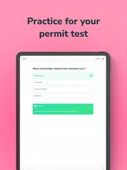 Aceable Drivers Ed & Test Prep XAPK Herunterladen