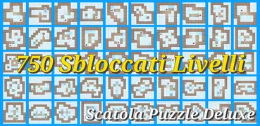 Scatola Puzzle Deluxe (750 Lv)