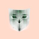 Virtual Mask APK