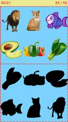 download Match The Picture Shadow XAPK