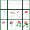 Lets draw rose flower
