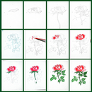 Lets draw rose flower APK