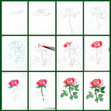 Lets draw rose flower icône