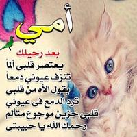 كلمات الاشتياق و رحيل الام screenshot 1
