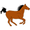Horse Racing