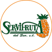 Icona Servifruta del Sur