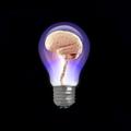 Mind gym